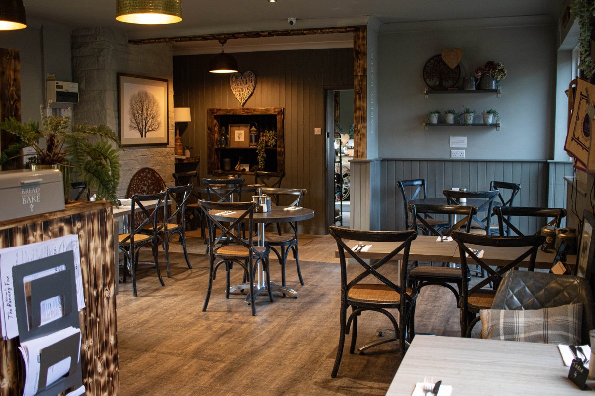 If you’ve not called in for a visit yet, here’s a sneaky peek of our slightly bigger Cafe and Shop at Longframlington!
 
You can still expect to find our warm and friendly Foxy welcome, but also additional seating and a gorgeous gift shop bursting with fantastic local products!
