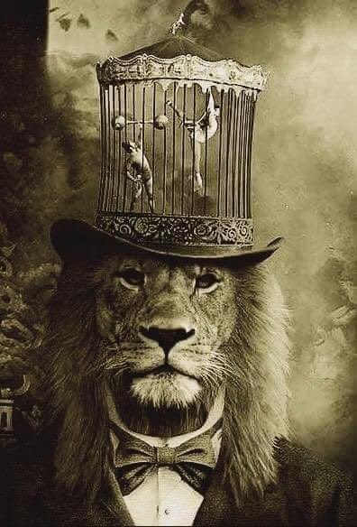 UrbanAborigane's tweet photo. Barnum and Bailey
Lion tamers so true
But the ringleaders were the lions
And they were taming you..
@OnePicPoetry #OnePicPoetry #4linepoetry https://t.co/hHtU92X2u3