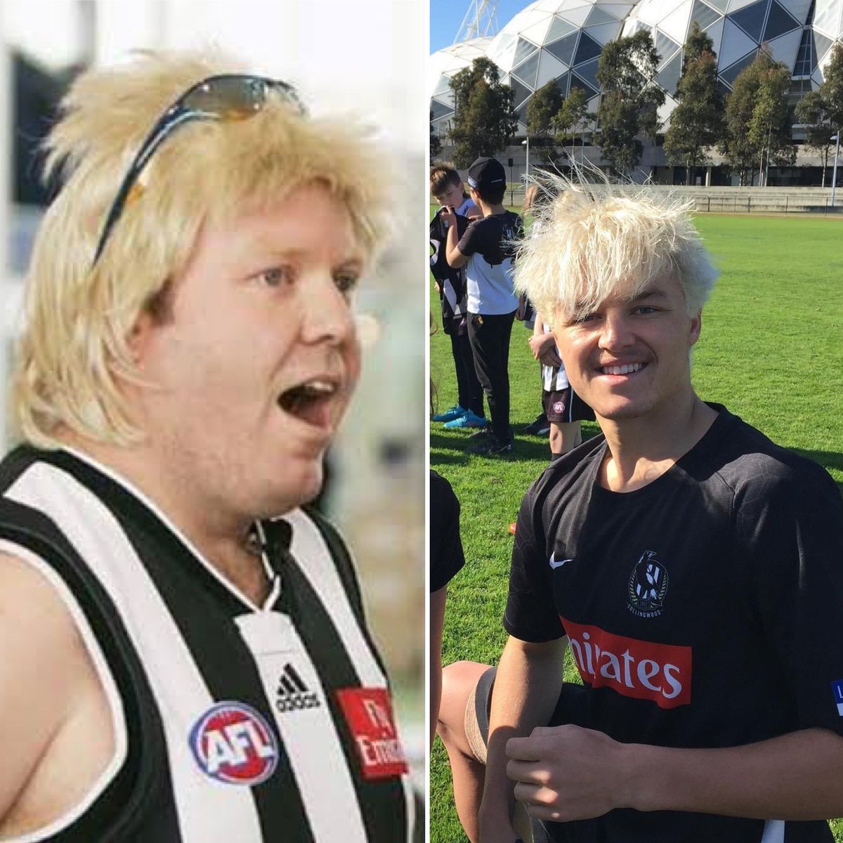 Hark Media tweet media