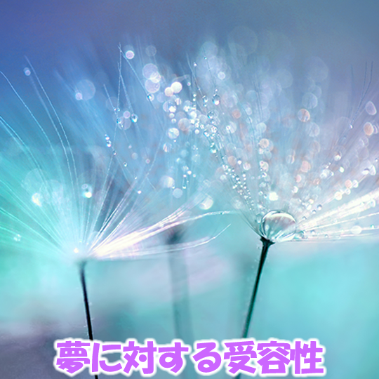 入庫 紫音さまご専用ページ ハンドメイド | equestrianwork.com