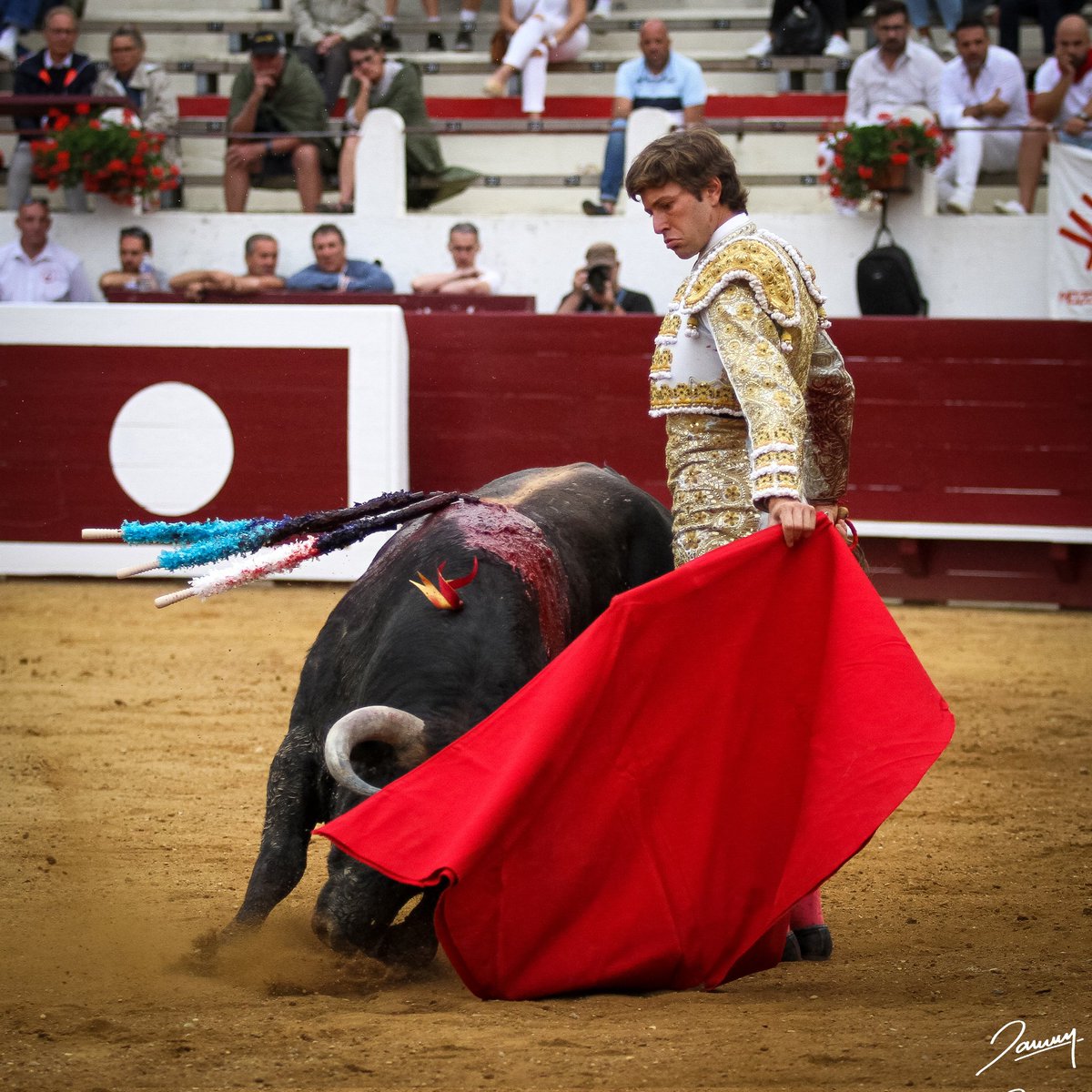 StephaneDarracq's tweet photo. Juan Leal. Soustons. 3.7.XXII https://t.co/WqcHgeH03E