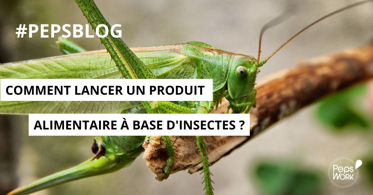 Les #insectes ont la côte sur le marché de la nutrition humaine. 

Découvrez sur le PepsBlog les prérequis nécessaires pour lancer un produit alimentaire à base d’insectes 👉 zcu.io/r5N1

#innovation #IAA
