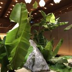 ツイートに含まれる画像