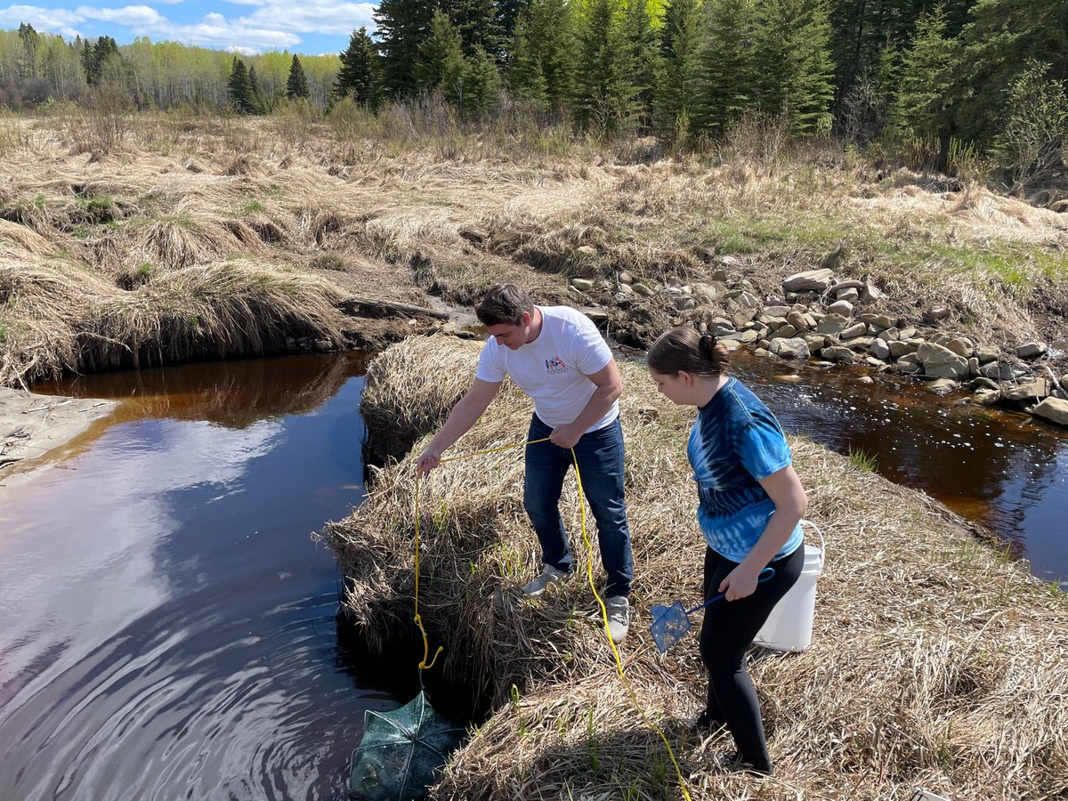 I-STEAM Pathways@UAlberta (@pathways_i) on Twitter photo <a href="/pathways_i/">I-STEAM Pathways@UAlberta</a> Photos from the field: Nick Lewis and Onisty Woods continue to make progress through meaningful experiential learning on the I-STEAM Indigenous internship program with <a href="/troutDr/">GregGoss</a>, Dr Zimmer and Dr Glover from <a href="/ualbertaScience/">UAlbertaScience</a>. #UAlberta <a href="/pathways_i/">I-STEAM Pathways@UAlberta</a> Photos from the field: Nick Lewis and Onisty Woods continue to make progress through meaningful experiential learning on the I-STEAM Indigenous internship program with <a href="/troutDr/">GregGoss</a>, Dr Zimmer and Dr Glover from <a href="/ualbertaScience/">UAlbertaScience</a>. #UAlberta