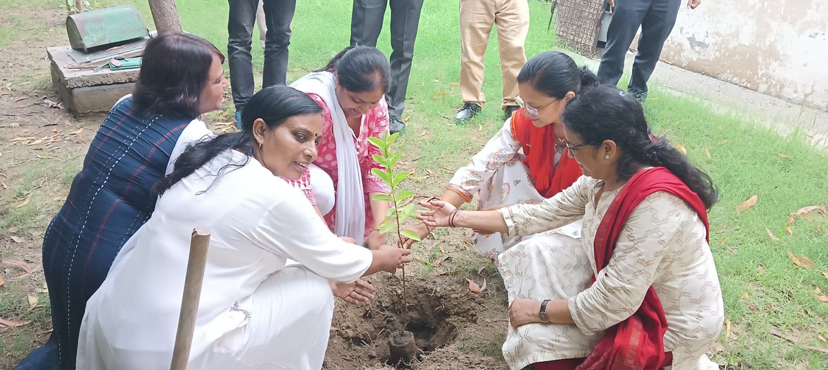 Bsagbn1's tweet photo. जिला बेसिक शिक्षा अधिकारी कार्यालय मे पौधारोपण @dmgbnagar @cdogbnagar @thisissanjubjp @myogiadityanath @Ankurtripathie @ashishdhamaG https://t.co/mPKGPxkkxx