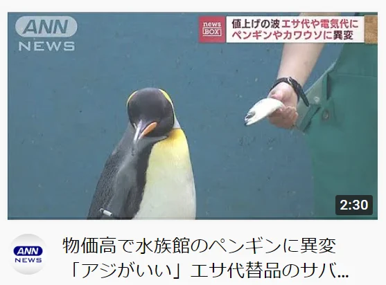 物価高でペンギンのエサも質が下がる…アジからサバに変更したら、ペンギン不服そうw