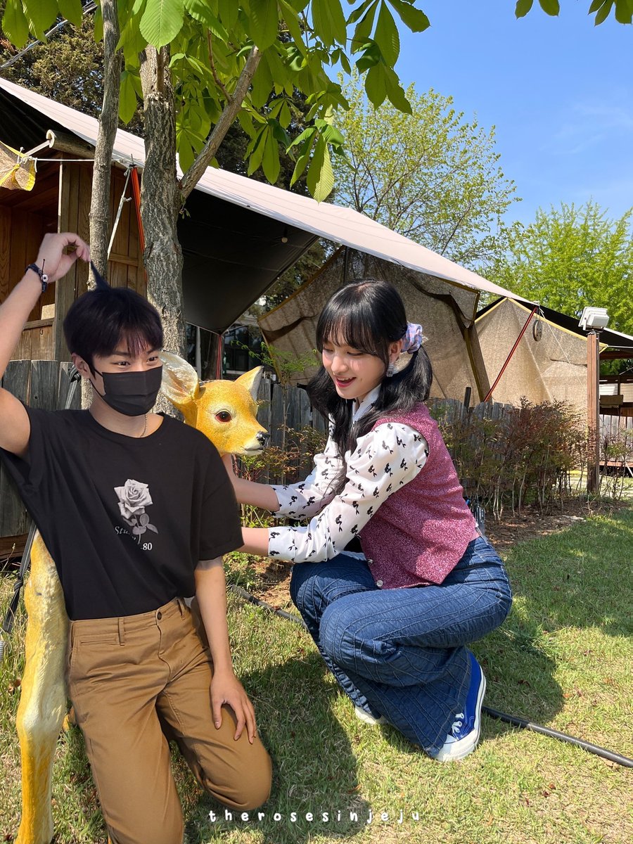 TheRosesInJeju's tweet image. anak kicik