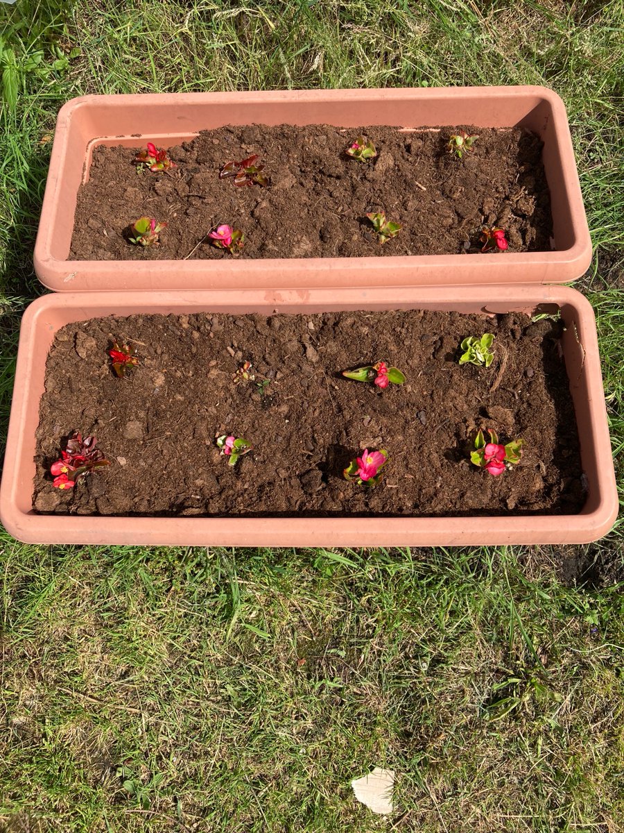 Remedi (@remedirj) on Twitter photo Samantha had a lovely afternoon yesterday with a young person planting flowers at the Sexton Avenue community allotments #Manchester. #Community #allotment #Planting #Flowers <a href="/AvenueSexton/">Sexton Avenue Community Allotment Garden</a> <a href="/RJCouncil/">Restorative Justice Council</a> <a href="/AssocPCCs/">Association of Police and Crime Commissioners</a> <a href="/gmpolice/">Greater Manchester Police</a> <a href="/ManCityCouncil/">Manchester City Council</a> <a href="/greatermcr/">Greater Manchester Combined Authority</a> <a href="/_YJB/">Youth Justice Board</a> <a href="/RJAPPG/">Restorative Justice APPG</a> <a href="/DeputyMayorofGM/">Deputy Mayor for Safer and Stronger Communities</a> Samantha had a lovely afternoon yesterday with a young person planting flowers at the Sexton Avenue community allotments #Manchester. #Community #allotment #Planting #Flowers <a href="/AvenueSexton/">Sexton Avenue Community Allotment Garden</a> <a href="/RJCouncil/">Restorative Justice Council</a> <a href="/AssocPCCs/">Association of Police and Crime Commissioners</a> <a href="/gmpolice/">Greater Manchester Police</a> <a href="/ManCityCouncil/">Manchester City Council</a> <a href="/greatermcr/">Greater Manchester Combined Authority</a> <a href="/_YJB/">Youth Justice Board</a> <a href="/RJAPPG/">Restorative Justice APPG</a> <a href="/DeputyMayorofGM/">Deputy Mayor for Safer and Stronger Communities</a>
