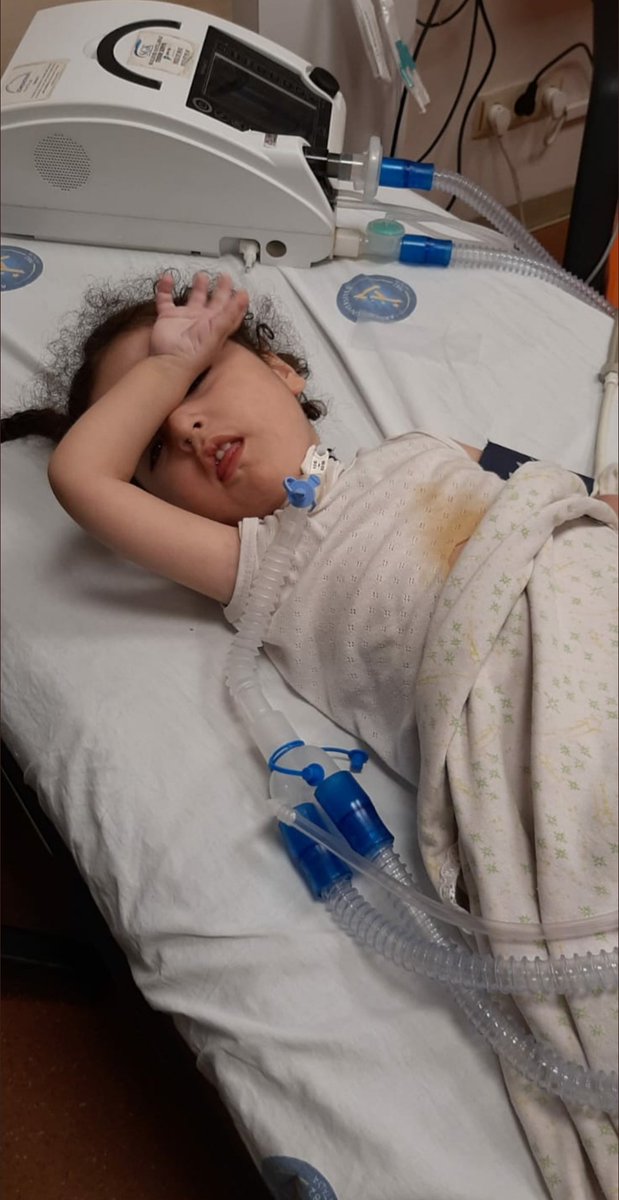 Ebrar hem SMA ile hem de açlıkla mücadele ediyor. Yorgun bedeni o kadar acı çekiyor ki lütfen desteğinizi, paylaşımınızı çok görmeyin ona🙏🏻

#Salı #HayırdırASpor #enflasyon
#BedelliAskerlik #DolarTL