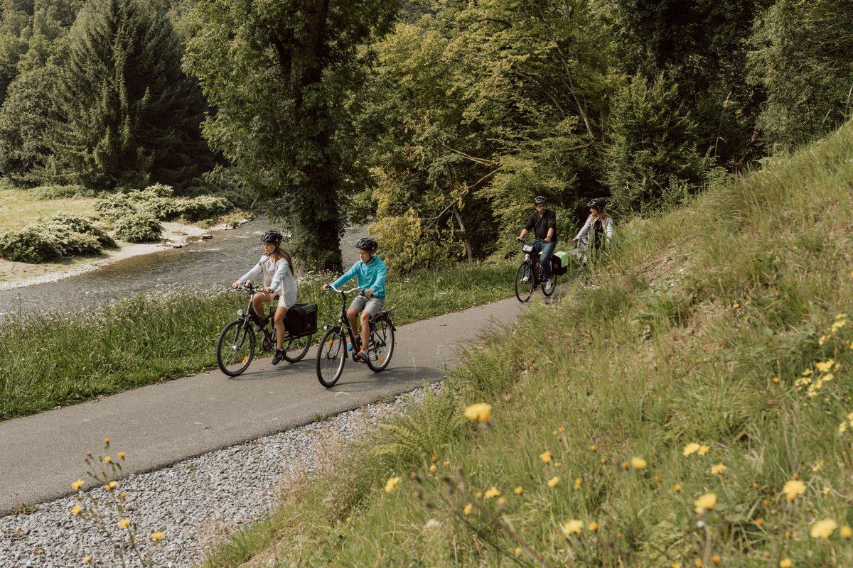 wb_france's tweet photo. #tourisme #Wallonie🇧🇪🇫🇷 | Grâce au projet @InterregFWVL🇪🇺 #Ardenne Cyclo🚲, les touristes sillonneront l'Ardenne à vélo🚵sur des parcours balisés des deux cotés de la frontière🇧🇪🇫🇷
Un beau projet🇪🇺 pour une mobilité douce🚲et un tourisme durable🌱
➡️https://t.co/oKZdijtIFK https://t.co/PNQ0p2CxjY