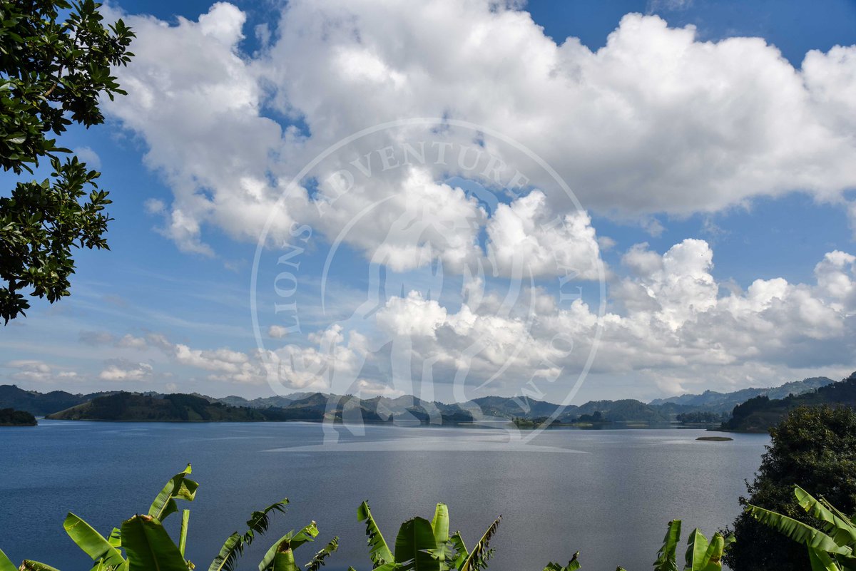 lions_platform's tweet photo. The beautiful #relaxing #Views of the #mountains in Kisoro district, Uganda are a sight to behold. Sorrounded by lots of green vegetation and various lakes, the mountains are a good #touristattraction not to miss when out here.
 visit &amp; subscribe via https://t.co/hVKsjFgXTy https://t.co/2OnFEIHD6W