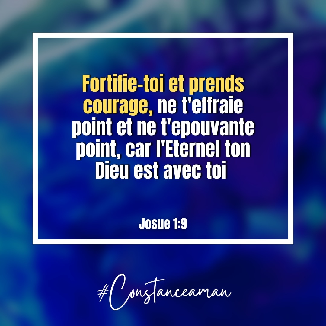 Constance Aman tweet media