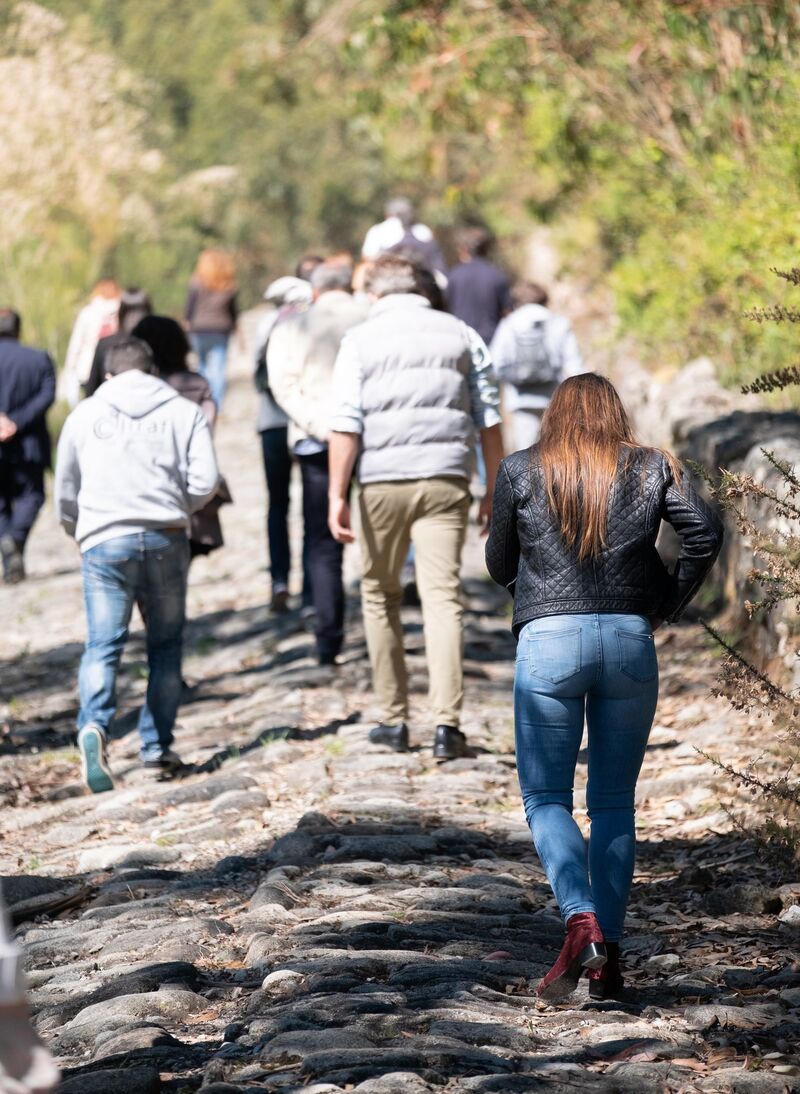 🧐Os nossos parceiros da <a href="/LinhasDeTorres/">Rota Histórica das Linhas de Torres</a>   dizem-nos que é possível atravessar uma estrada militar⚔️

👥Não perca esta novidade e descubra👇
linkedin.com/feed/update/ac…