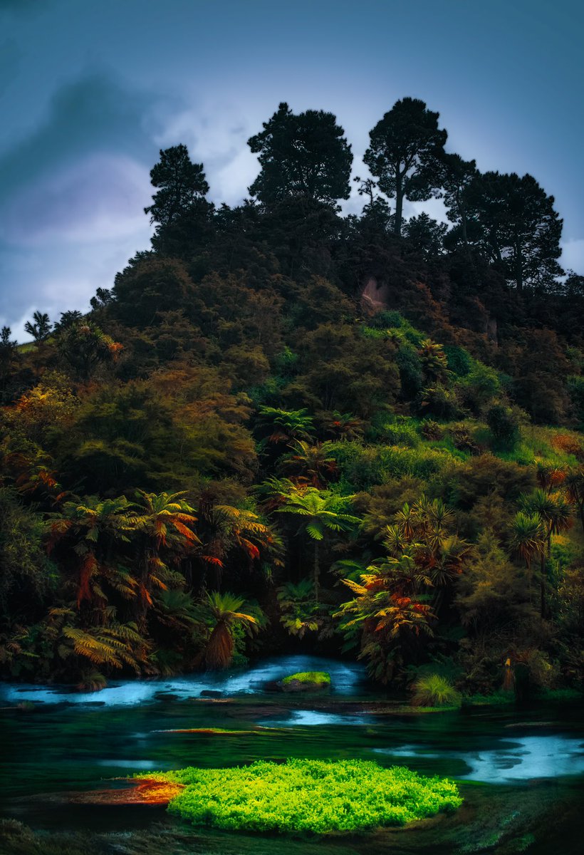 Day 12 of shilling for a Sappy Seals 🦭 

“Nature’s Kingdom” a pic I took from my trip in New Zealand 🇳🇿

Available on <a href="/Foundation/">Foundation 🌐</a> ▲●■
Price Reserve :   Ξ0.15    

Still no sales but we never know 🤷‍♂️
￼