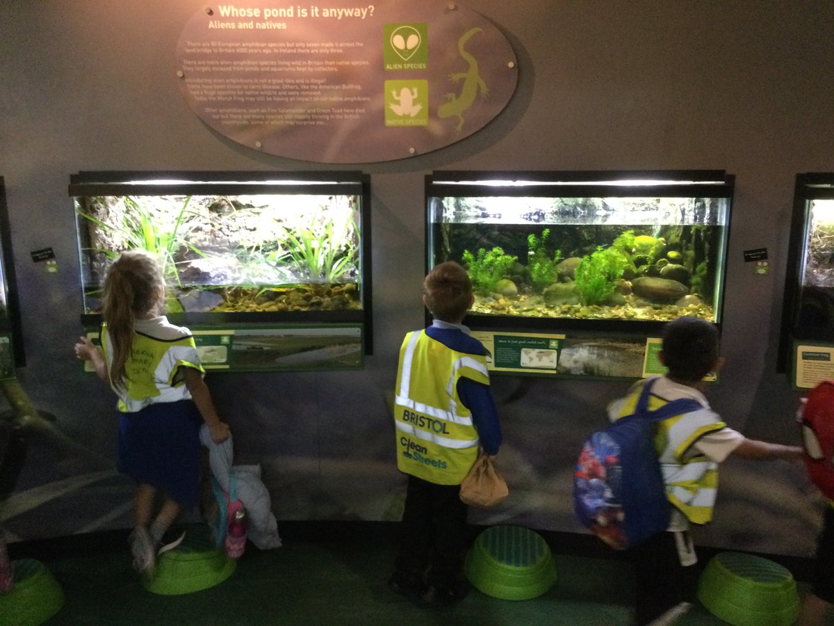 MinervaCLF's tweet image. Thanks @WWTSlimbridge for a great day out yesterday! Year 1 loved meeting Ava the Osprey and are ready to become Generation Wild.