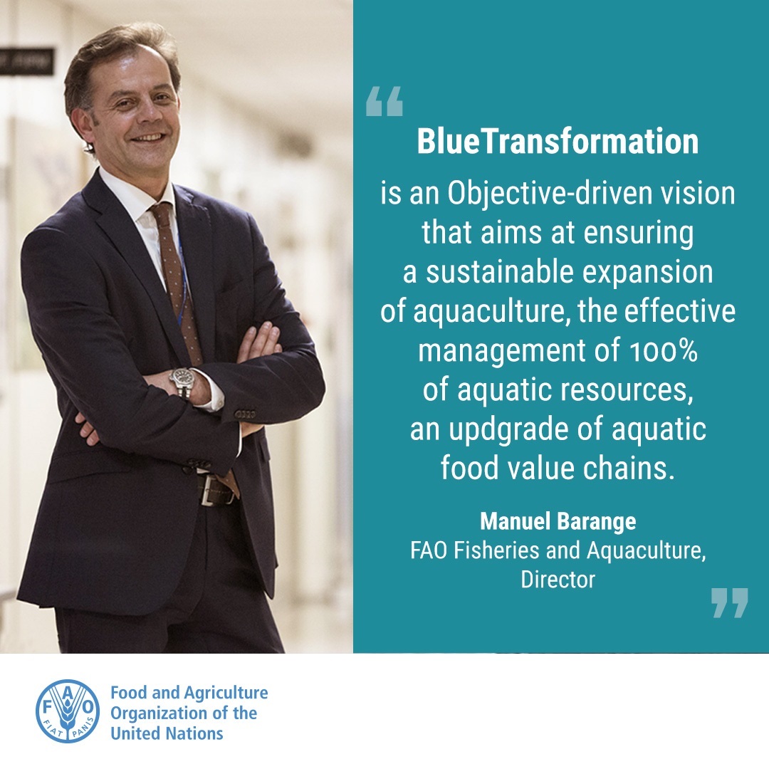 Growth in #fisheries &amp; #aquaculture is driven by economic opportunity.

 @FAOFish believes transformation can yield more with sustainability, equity, resilience.

The world needs a #BlueTransformation