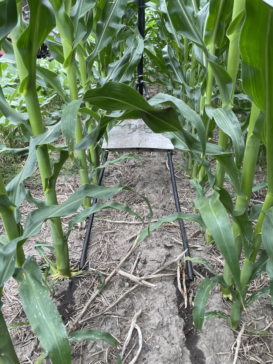 Peter Harvey tweet media