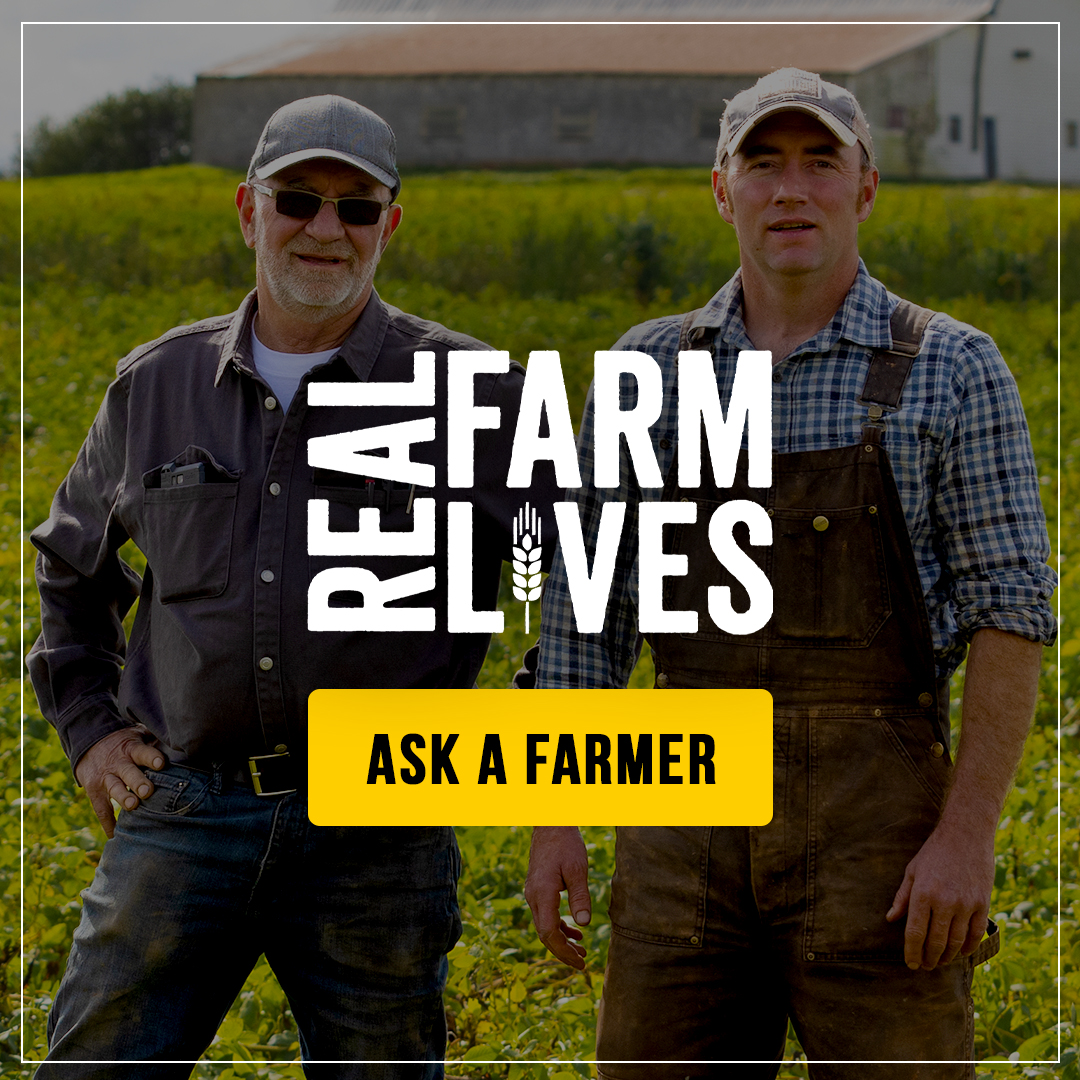 Why is sustainability important to Canadian farmers? Because maintaining a healthy environment is key for growing healthy, abundant crops today and for generations to come. Learn more: realfarmlives.ca/why-farmers-ar… #CdnAgPartnership #RealFarmLives