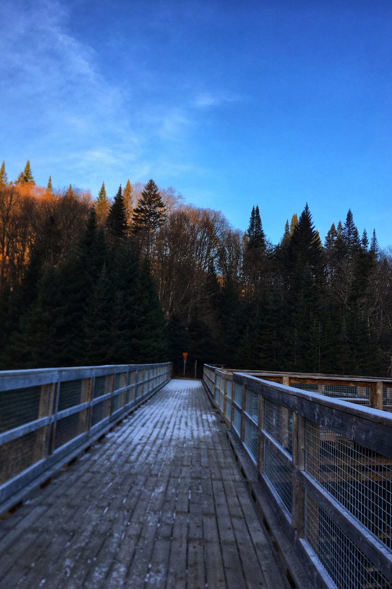 TaraAlixia's tweet photo. Can't wait for fall to go hiking again!  The best time is always at 5am when the forest hasn't woken up yet :) #ParcnationaldelaJacquesCartier https://t.co/v7IJpOzNFV