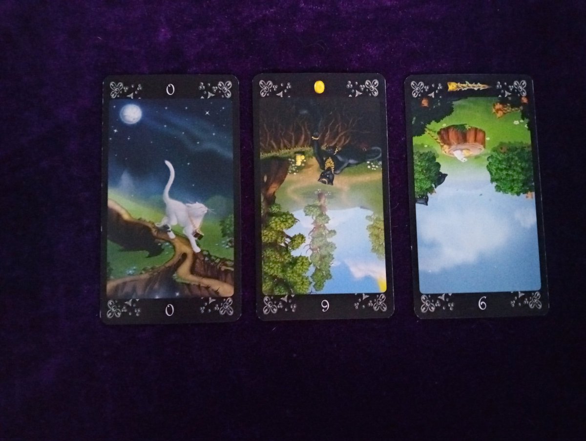 tigerlex333's tweet photo. Follow the black cat.
Black Cat Tarot Deck.
What is today's focus?
Rest and renew yourself as your feeling completely drained. Leave chores and tasks that can wait until tomorrow, for tomorrow.~Lex
@SpiritualConne5
#restrequired https://t.co/78BI6DjurC