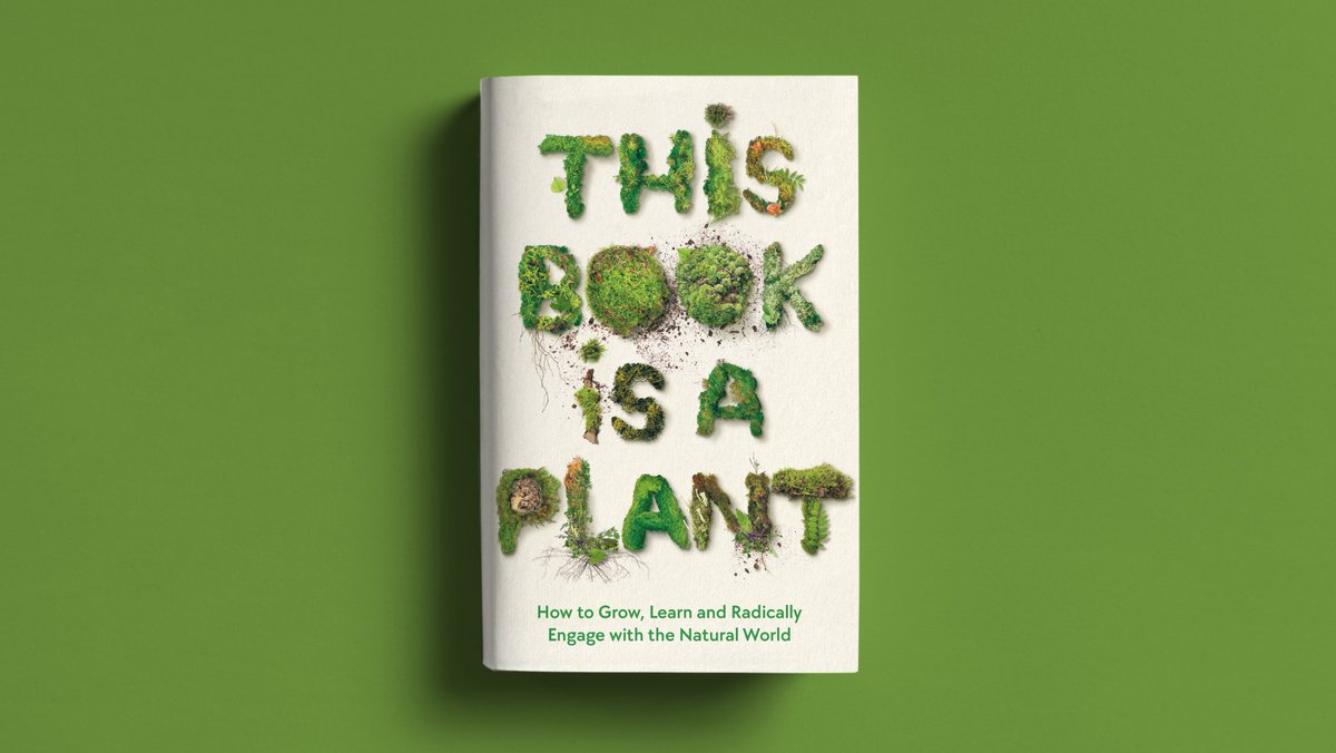 Design in Profile tweet media