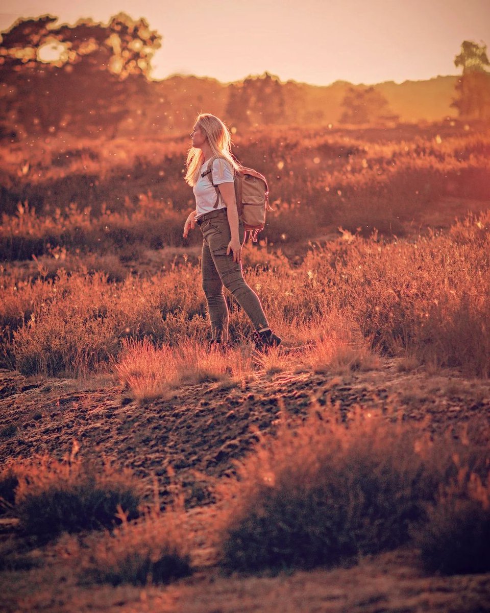 Capture this moment.
Credit to @ayqueyo

#tarion #tarionworld
#12months12pictures #lightloovers #saftbarcommunity #lightlovers #canondeutschland #bellcoll #westruperheide #selftimer #lensflare #femaleexplorercommunity #happyinnature #outdoorphotographer #femalephotographers