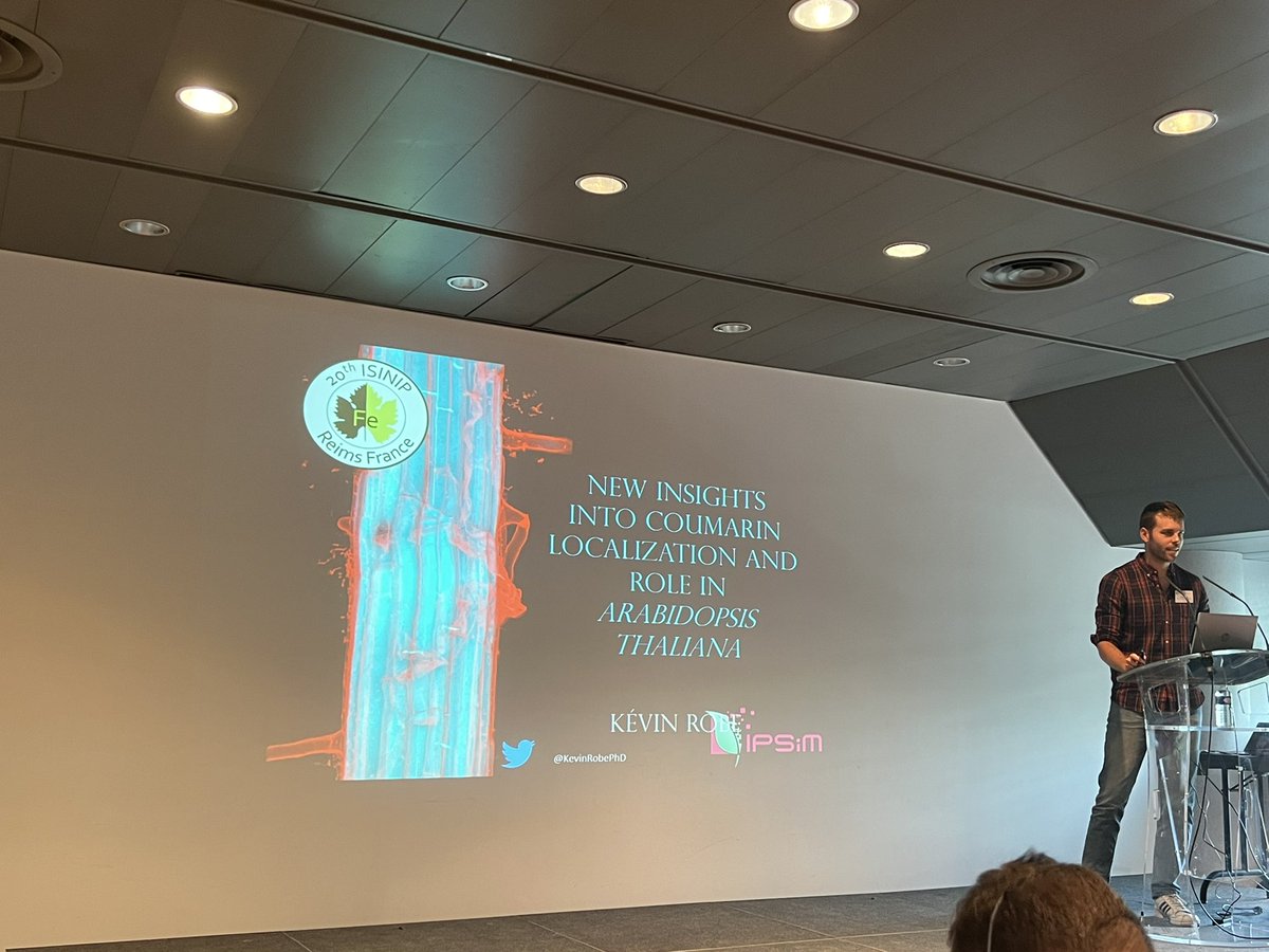 Giannis Stringlis (@gstringlis) on Twitter photo Really nice and clear talk by <a href="/KevinRobePhD/">ROBE Kévin</a> on coumarin localisation in the roots and their role in iron uptake! #20isinip Really nice and clear talk by <a href="/KevinRobePhD/">ROBE Kévin</a> on coumarin localisation in the roots and their role in iron uptake! #20isinip