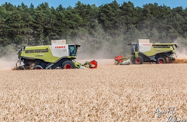 Référence agro tweet media