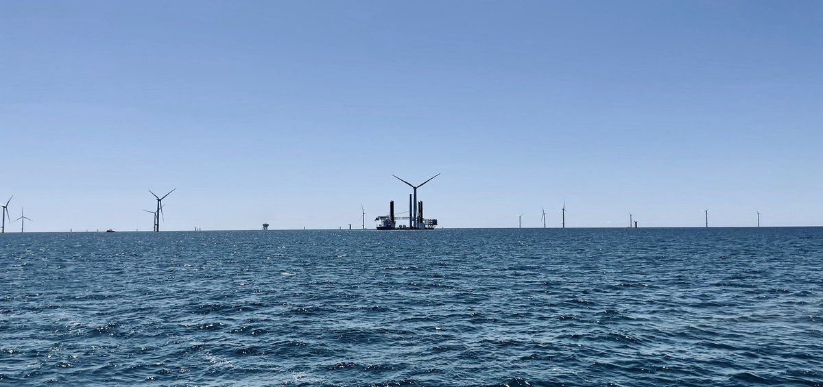 Tristan Foveau tweet media