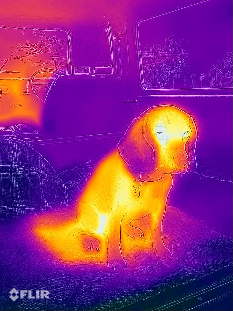 WillowWarmer tweet media