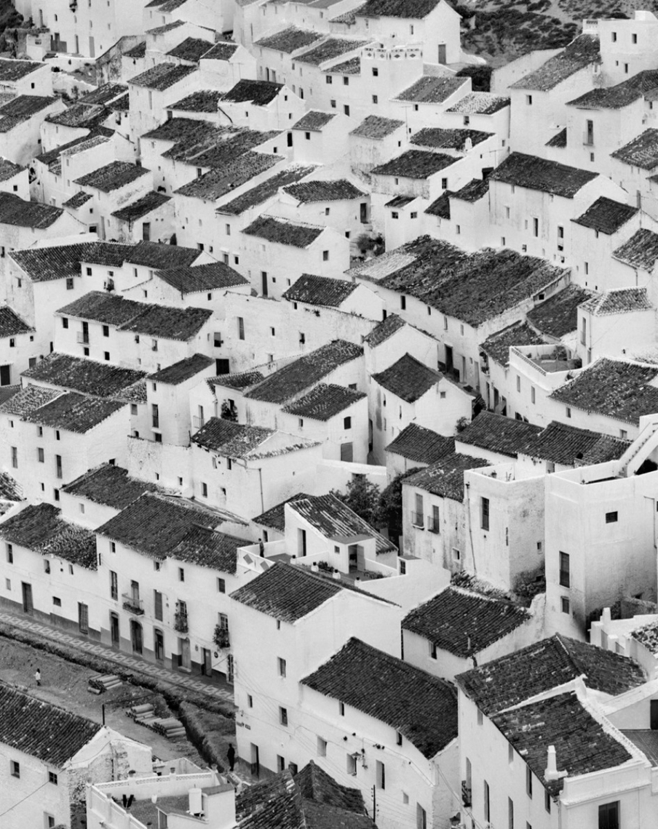 Museos de Andalucía tweet media