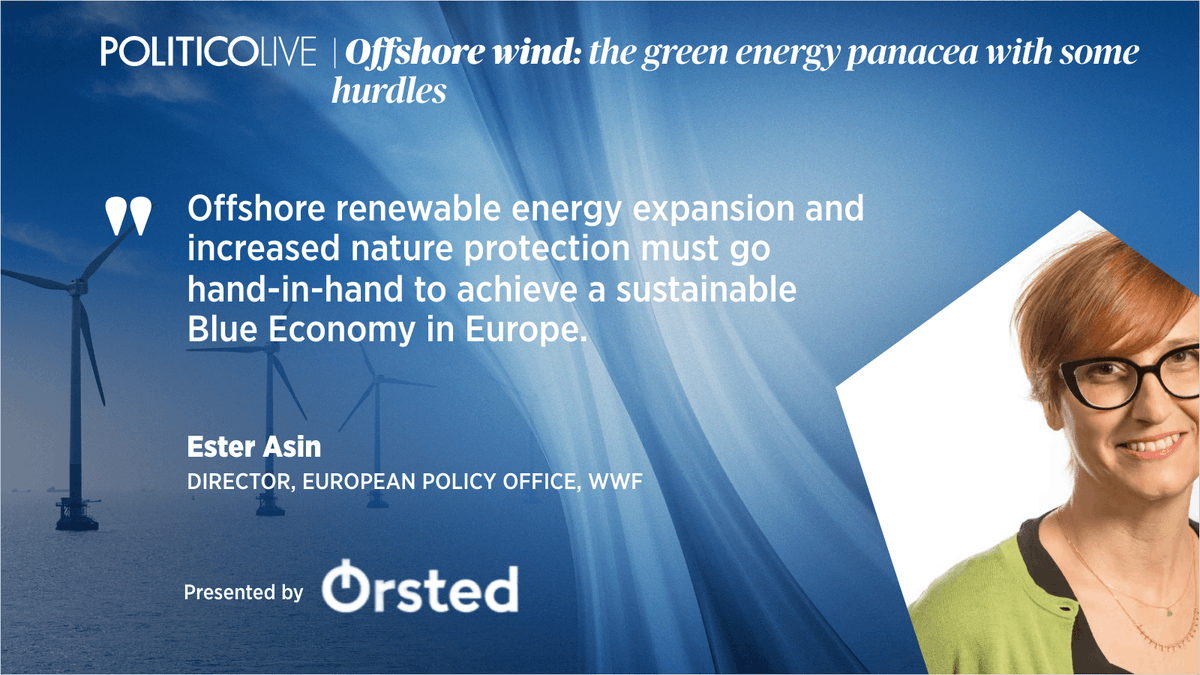 LivePOLITICO's tweet photo. Director @WWFEU @EsterAsinEU joins our discussion this morning on #EUoffshorewind. Find out more below and watch live the debate. #REPowerEU https://t.co/x1GDkTHbL6
