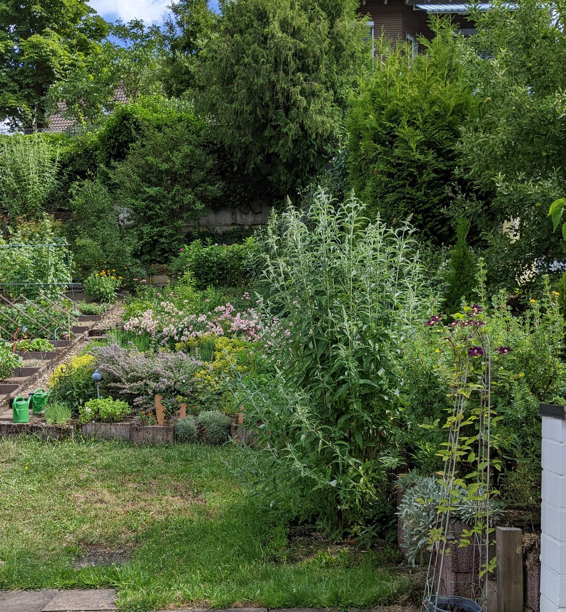 ninaneuf's tweet image. My workplace today 🦾 
#focus #conversationalai #augmentedworkforce #homeoffice #gardenoffice