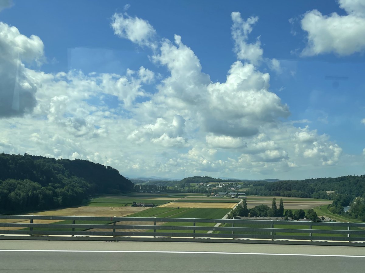 WARENE🌊 tweet media