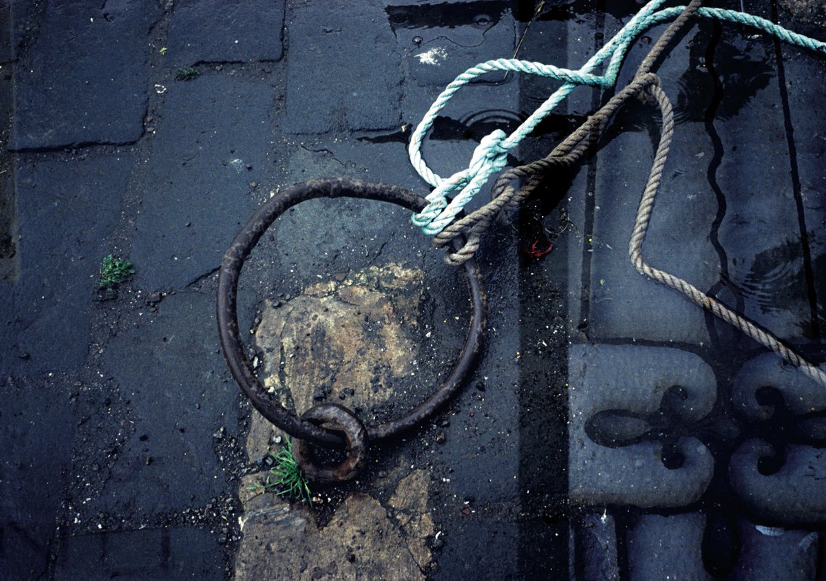 Alastair Cook tweet media