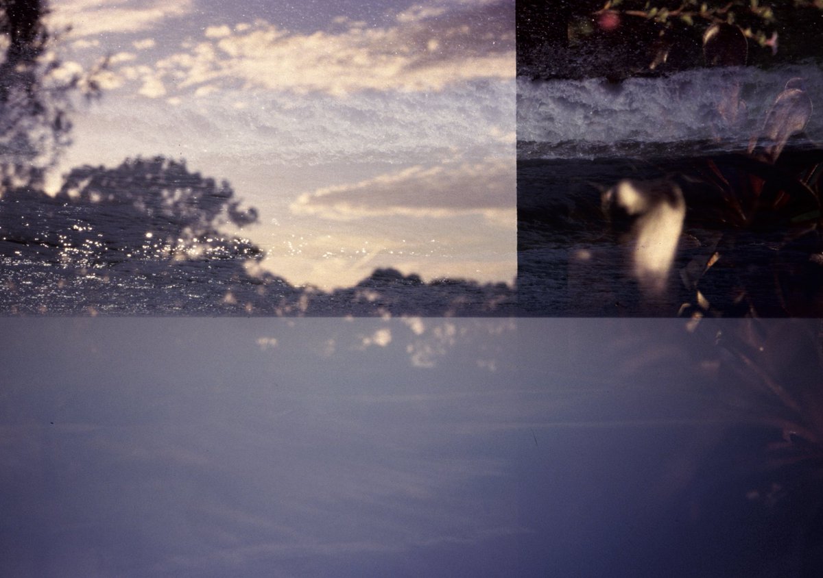 Alastair Cook tweet media