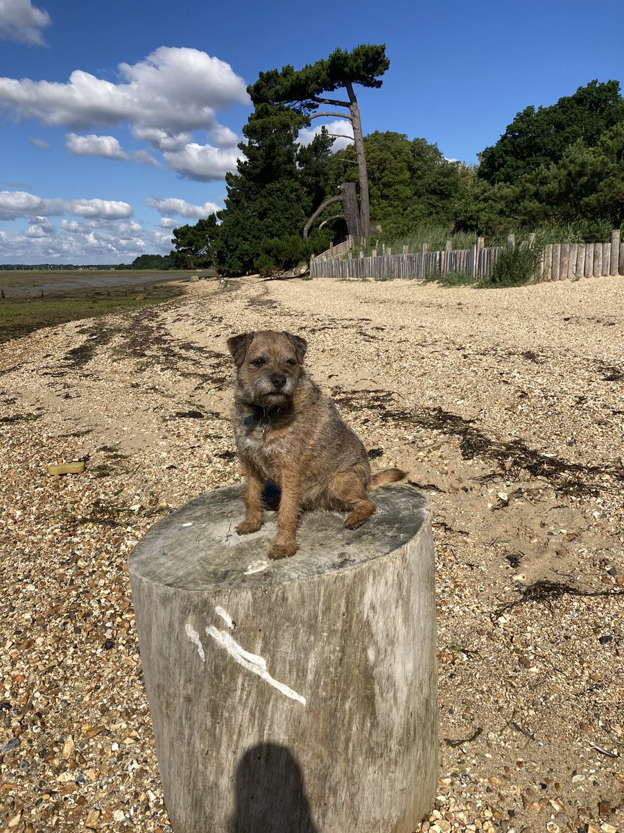 Oh what a beautiful morning 🎶 #lepecountrypark #stumpclub #BTposse