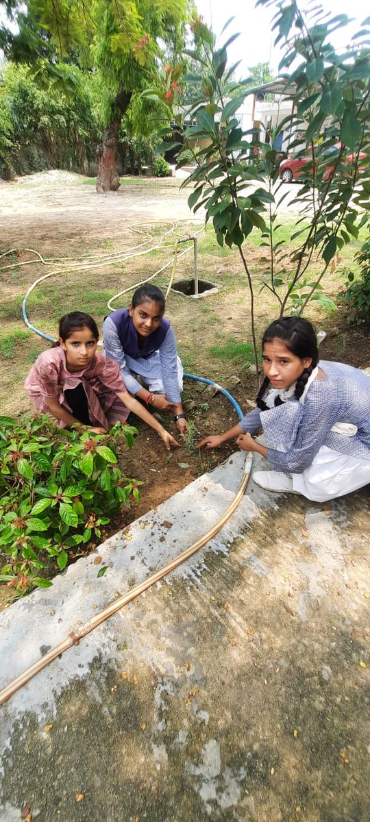 सबको एक ही बात बताओ 
वृक्षारोपण करने में अपना हाथ बटाओ।
#यूपी_वन_महोत्सव_25cr