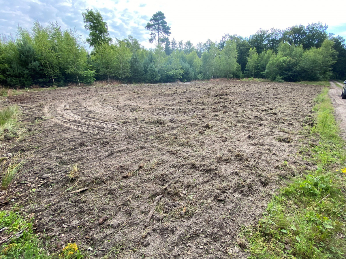 Omroep Gelderland tweet media