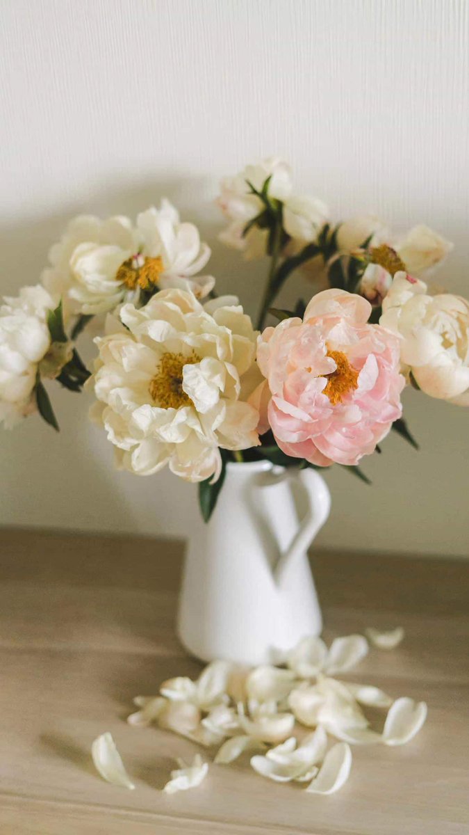 金娥 (@taijine3) on Twitter photo 