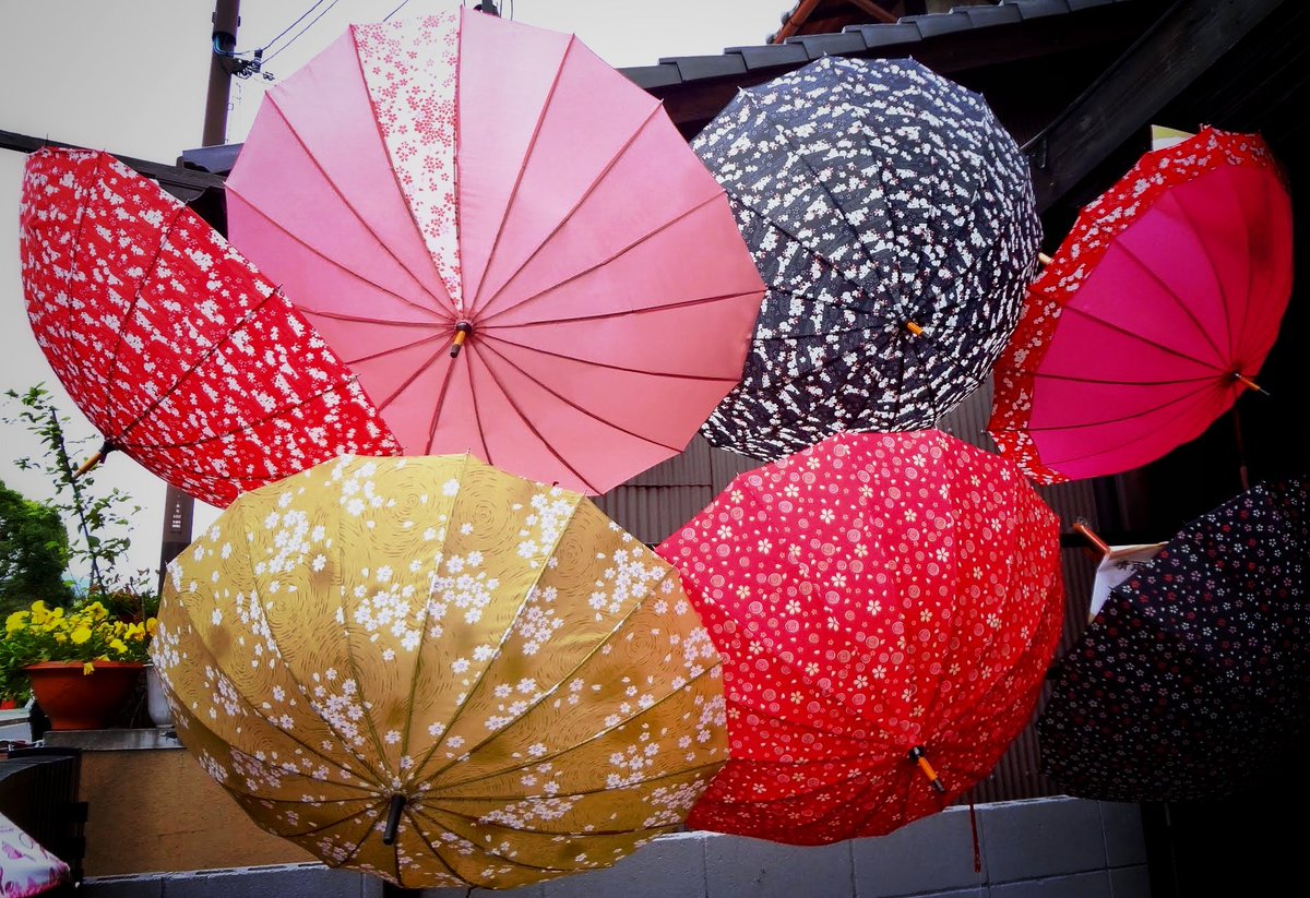 kazaztan's tweet photo. @DailyPicTheme2 #umbrella
#kyoto https://t.co/k9hAeLxXCO