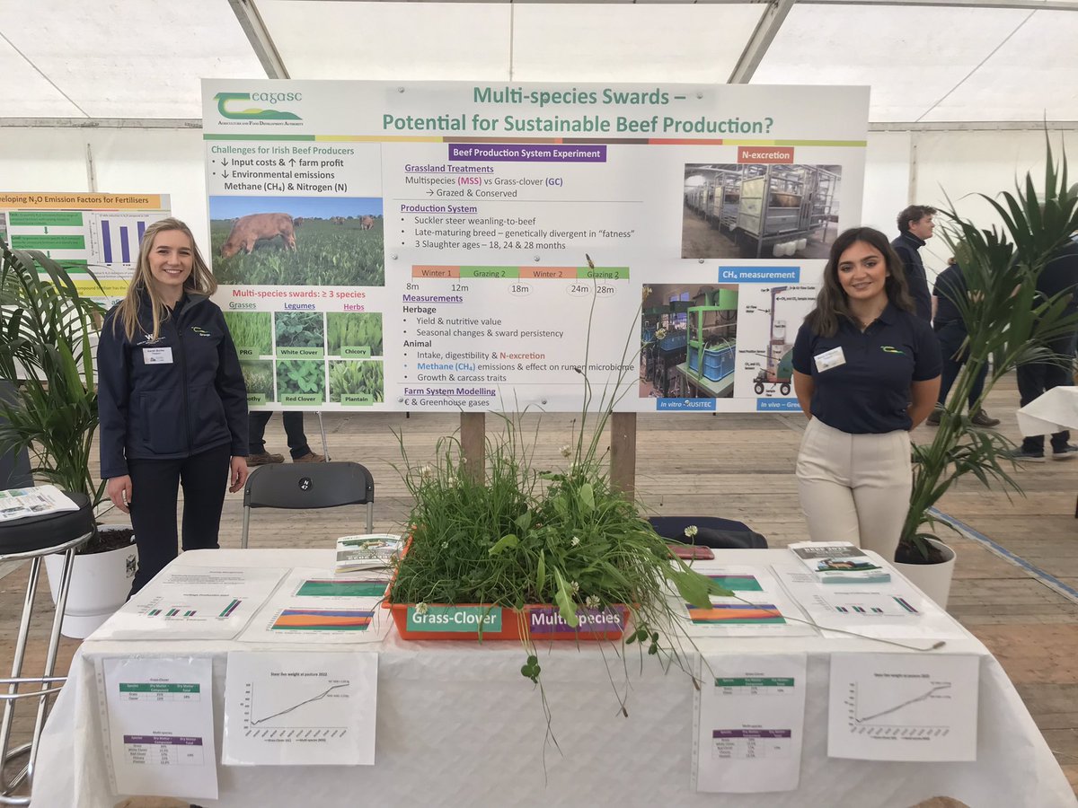 Emily Roskam (@roskamemily) on Twitter photo Come join us at the Teagasc Signpost Research Marquee #Beef2022 <a href="/TeagascBeef/">Teagasc Beef</a> <a href="/TeagascSignpost/">TeagascSignpost</a> <a href="/agriculture_ie/">Dept of Agriculture, Food and the Marine</a> <a href="/MASTER_IA_H2020/">MASTER IA H2020</a> <a href="/METH_ABATE/">METH-ABATE</a> <a href="/PaulSmid94/">Paul Smith</a> <a href="/MarieORourke16/">Marie O’Rourke</a> <a href="/SineadMWaters/">Sinéad Waters</a> <a href="/KirwanStuart/">Stuart Kirwan</a> Come join us at the Teagasc Signpost Research Marquee #Beef2022 <a href="/TeagascBeef/">Teagasc Beef</a> <a href="/TeagascSignpost/">TeagascSignpost</a> <a href="/agriculture_ie/">Dept of Agriculture, Food and the Marine</a> <a href="/MASTER_IA_H2020/">MASTER IA H2020</a> <a href="/METH_ABATE/">METH-ABATE</a> <a href="/PaulSmid94/">Paul Smith</a> <a href="/MarieORourke16/">Marie O’Rourke</a> <a href="/SineadMWaters/">Sinéad Waters</a> <a href="/KirwanStuart/">Stuart Kirwan</a>