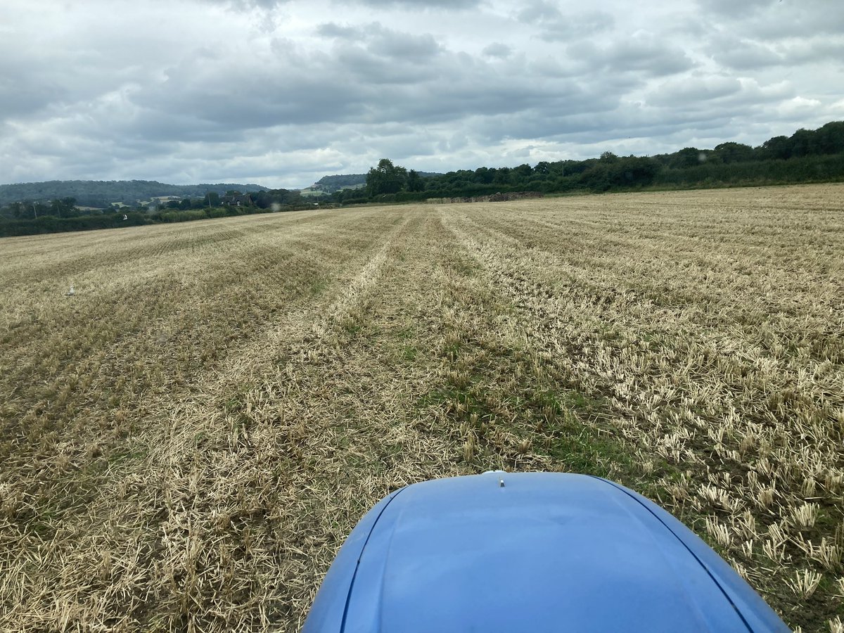 Rye and vetch whole crop off, six way cover crop sown, rolled, little dribble of slurry tomorrow then hopefully direct drill wheat in September! 🙏 #harvest22 #covercrops #teamdairy #soilhealth