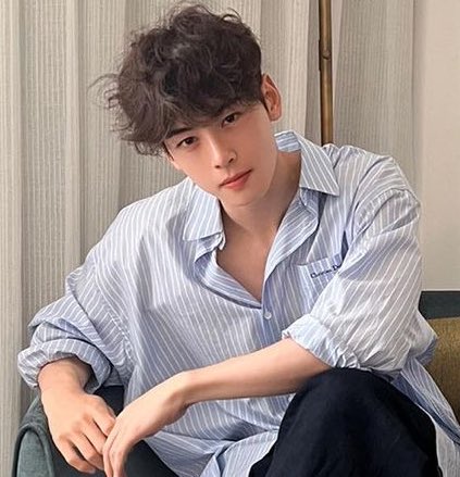 offcl_bear's tweet photo. fluffy hair 

#차은우 #CHAEUNWOO #아스트로 https://t.co/W4e4zoFonm