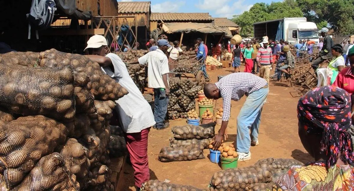 Making the right marketing decisions can mean the difference between profit and loss for your farm business. 

Carefully study the available markets and consider factors such as the price, cost, convenience &amp; reliability. 

<a href="/agribusinesszw/">Agribusiness Media</a>