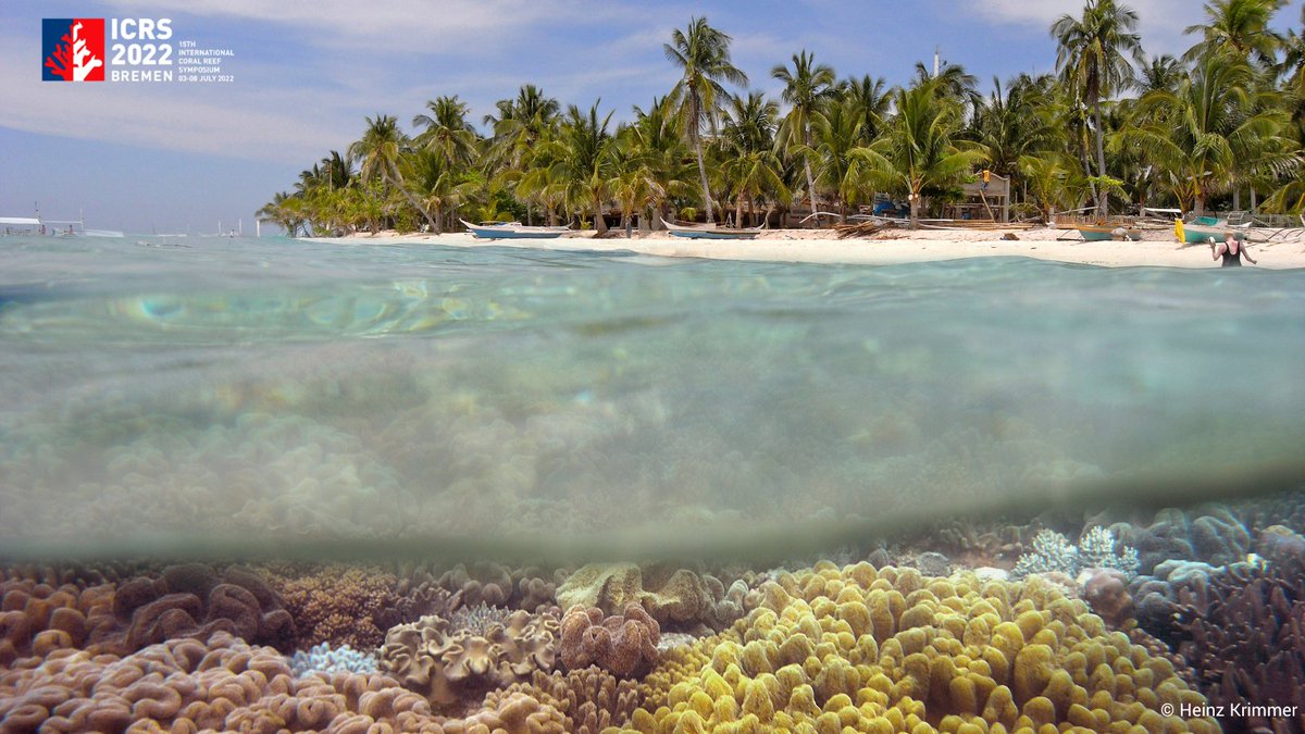 Join us for an exciting Science-to-Policy Dialogue today at 2 pm CEST! The event will be live streamed here: app.icrs2022.smart-abstract.com/shell/livestre… 🪸 #icrs2022 #forcoral