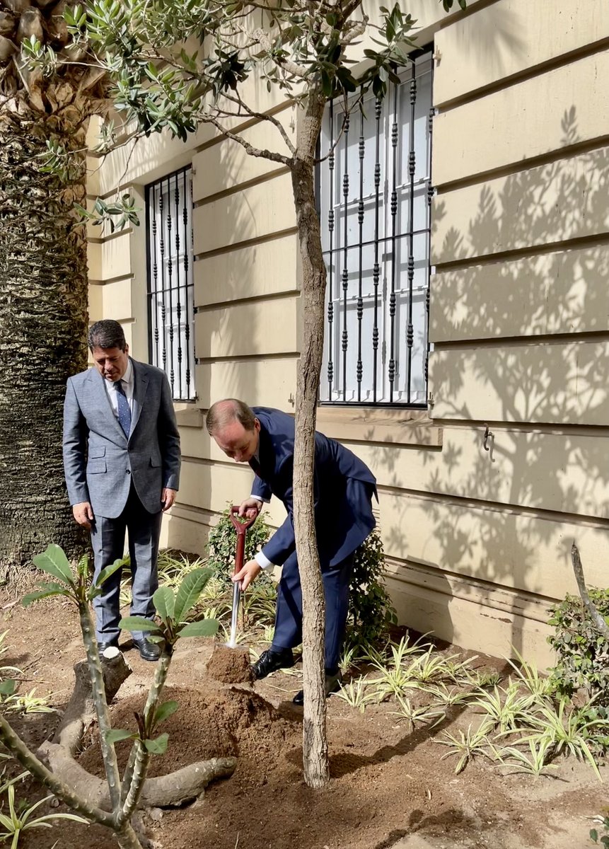 Convent_Gib's tweet photo. Honoured to take part in a tree planting together with the Chief Minister this morning as part of the #Queensgreencanopy. This New Zealand Christmas Tree is a beautiful addition to John Mackintosh Square.
#treebilee #trees #Platinumjubilee https://t.co/58WT4ABwTf
