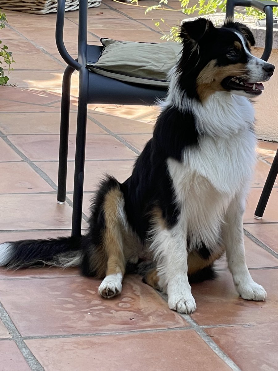 Olivier LAMIRAULT tweet media