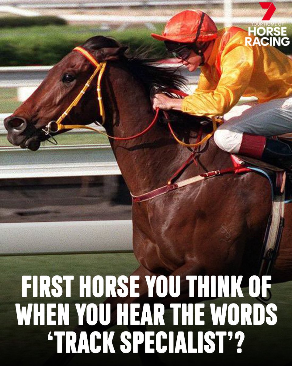 7horseracing's tweet photo. Name the horse and track.

Who comes to mind? 🗣️ https://t.co/fFGRpVNSZm
