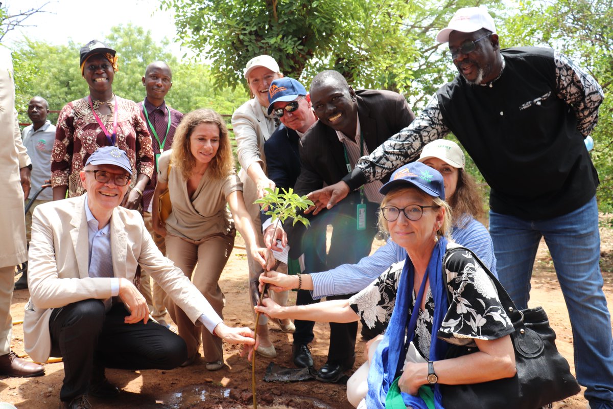 Projet UE-APSAN-MALI tweet media